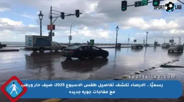 رسميًا.. الأرصاد تكشف تفاصيل طقس الأسبوع 2025: صيف حار ورطب مع مفاجآت جوية جديدة